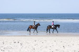 Auf dem Pferd am Meer entlang reiten? Auf Norderney kein Problem.